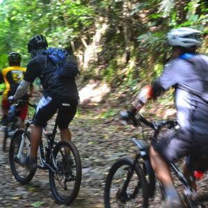 mountain bike rental