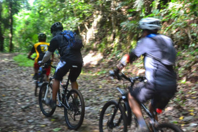 mountain bike rental